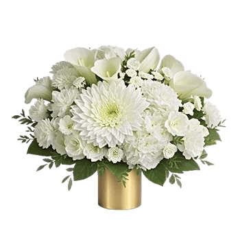 Modern White Orchids