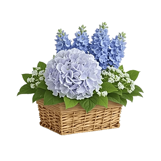 Sapphire Bloom Whisper