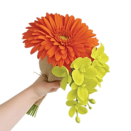 Radiant Bloom Cascade