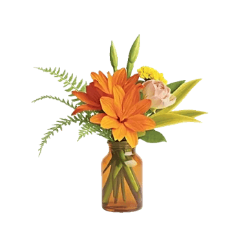 Petal Radiance Bliss