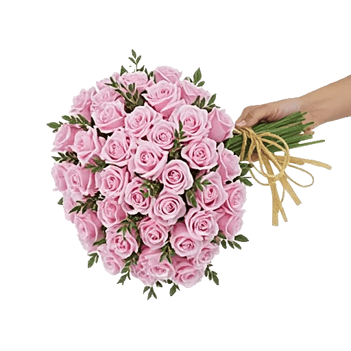 Pastel Pink Roses