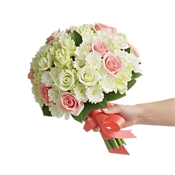 Ivory Garden Grace