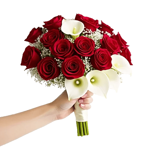 Blushing Rose Symphony