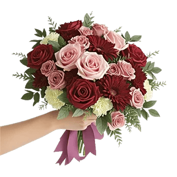 Blushing Rose Symphony