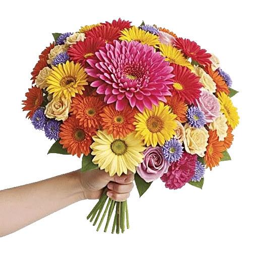 Radiant Bloom Cascade