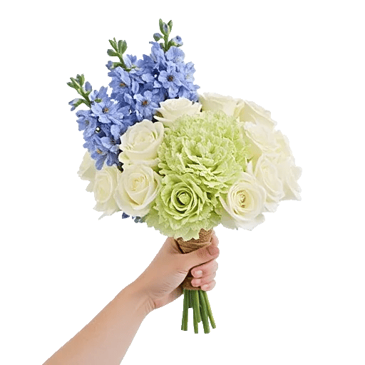 Blossom Petal Serenity