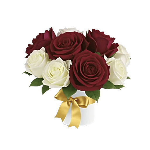 Crimson Rose Elegance