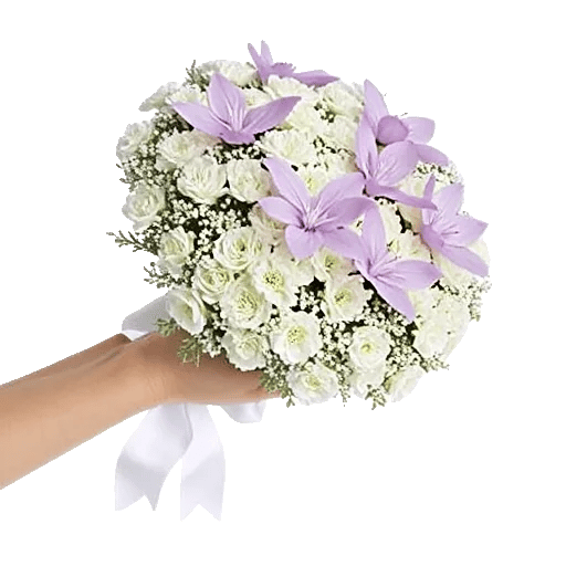 Delicate Petal Cascade