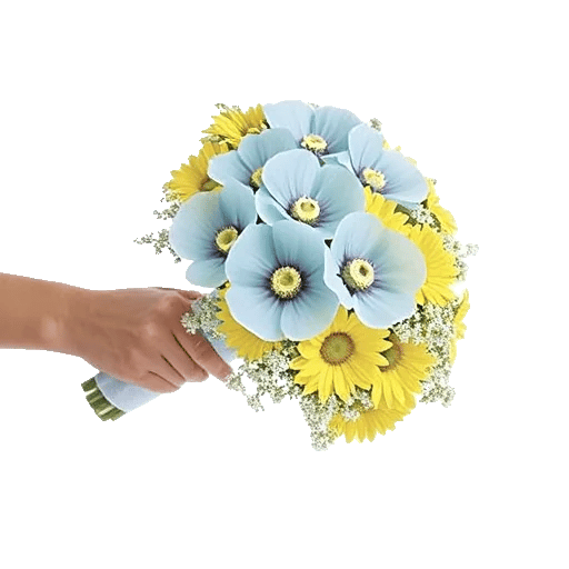 Blossom Petal Serenity