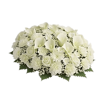 Elegant Calla Lilies