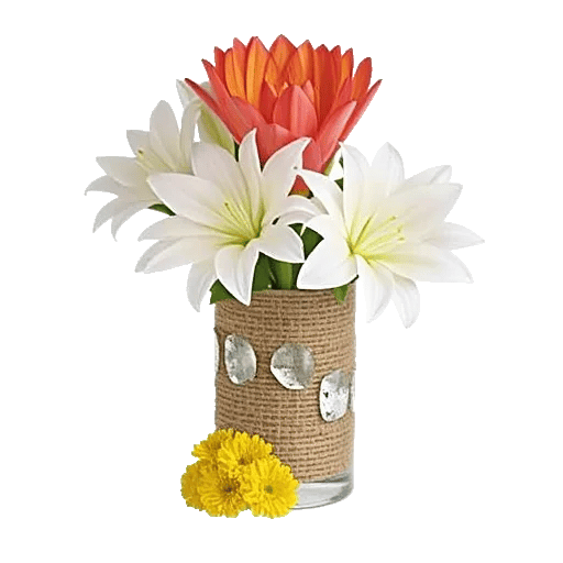 Petal Radiance Bliss