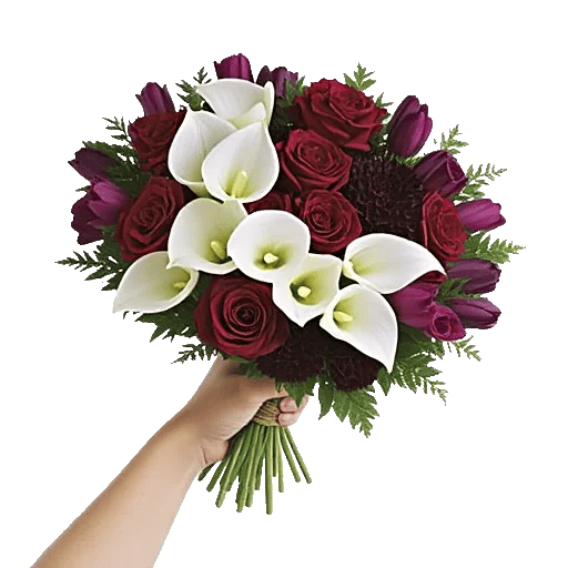 Elegant Calla Lilies