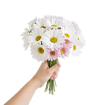 Coral Blossom Harmony