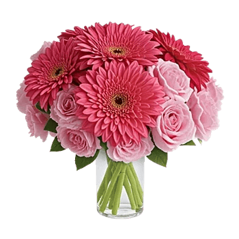 Petal Radiance Bliss