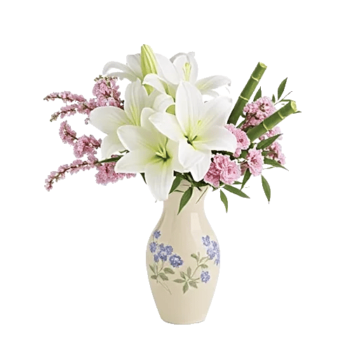 Ivory Blossom Radiance
