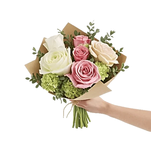 Serene Petal Harmony