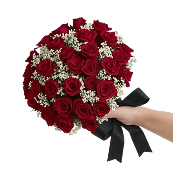 Crimson Rose Elegance