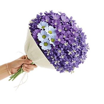 Delicate Petal Cascade