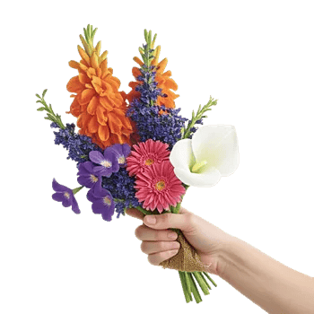 Petal Harmony Bliss