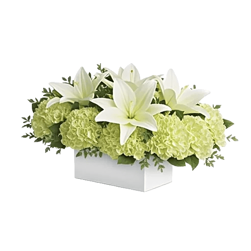 Graceful Lily Display