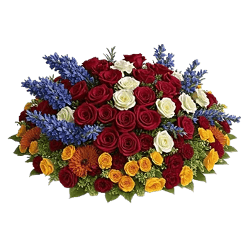 Delicate Petal Cascade