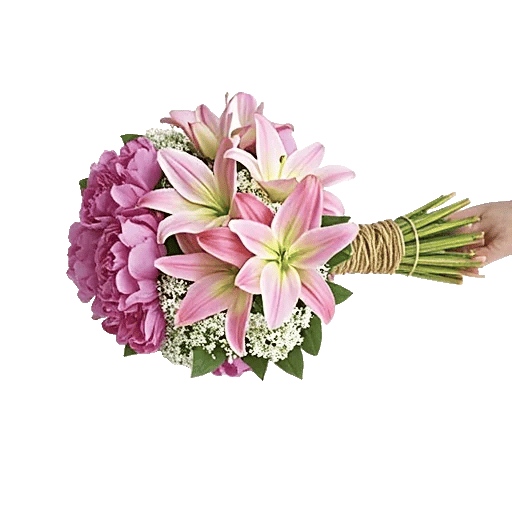 Peony Petal Harmony