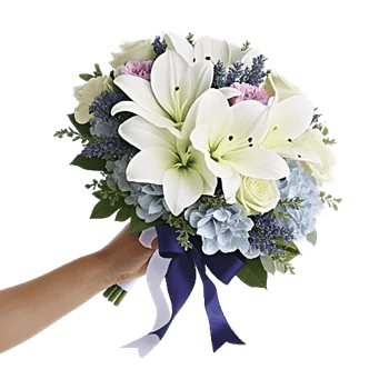 Ivory Garden Grace