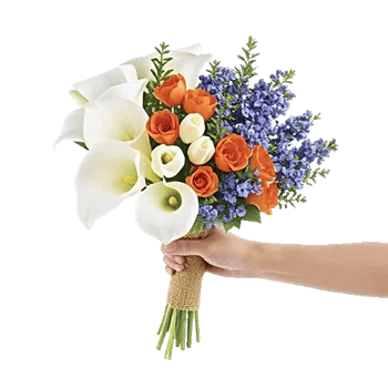 Elegant Calla Lilies