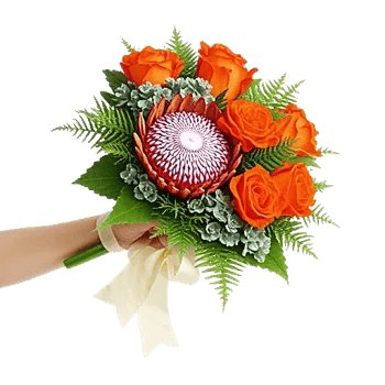 Minimalist White Orchids