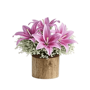 Elegant Calla Lilies