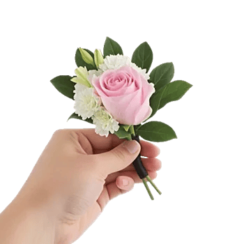 Blushing Rose Symphony