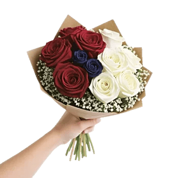 Crimson Rose Elegance