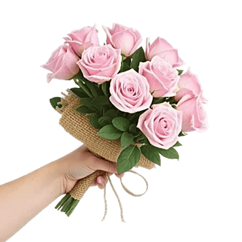 Blushing Rose Symphony