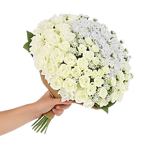 Delicate Petal Cascade