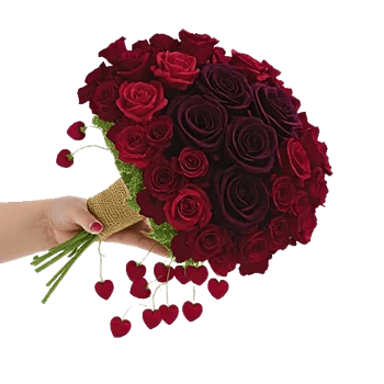 Crimson Rose Elegance