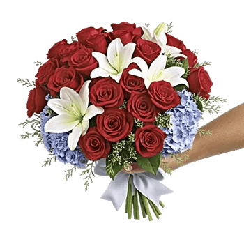 Crimson Rose Elegance