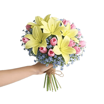 Blossom Harmony Display