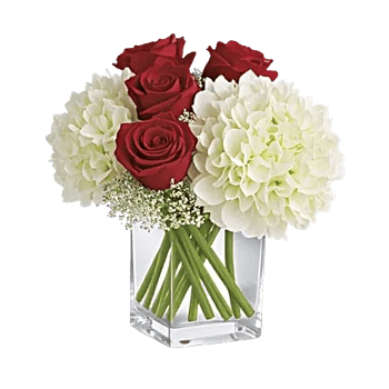 Ivory Blossom Radiance