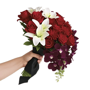 Crimson Rose Elegance