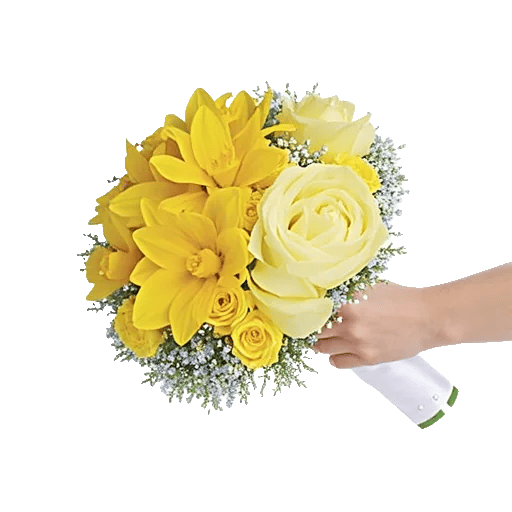 Ivory Blossom Radiance