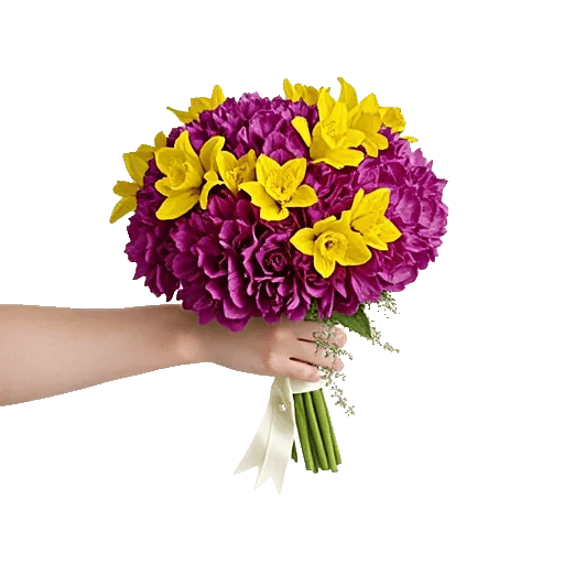 Ivory Blossom Radiance