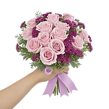 Pastel Pink Roses