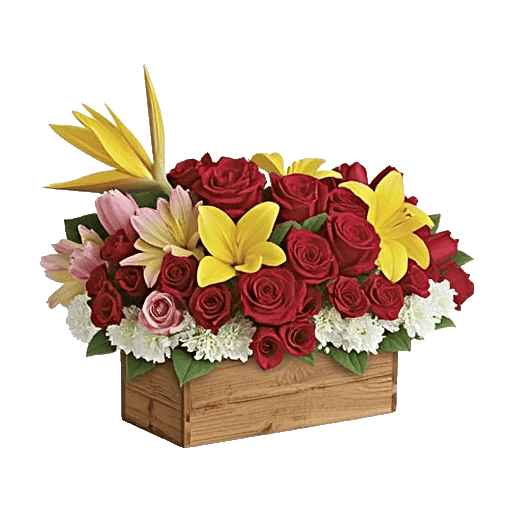 Blossom Harmony Display