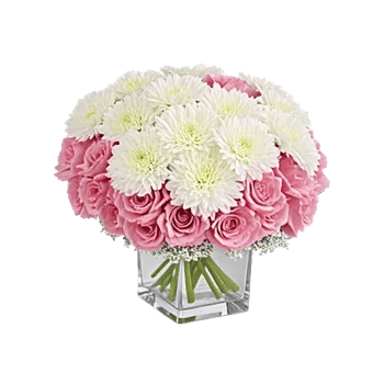 Delicate Petal Cascade