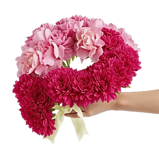 Serene Petal Harmony