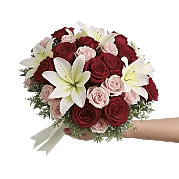 Blushing Rose Symphony