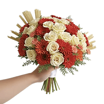 Blushing Rose Symphony