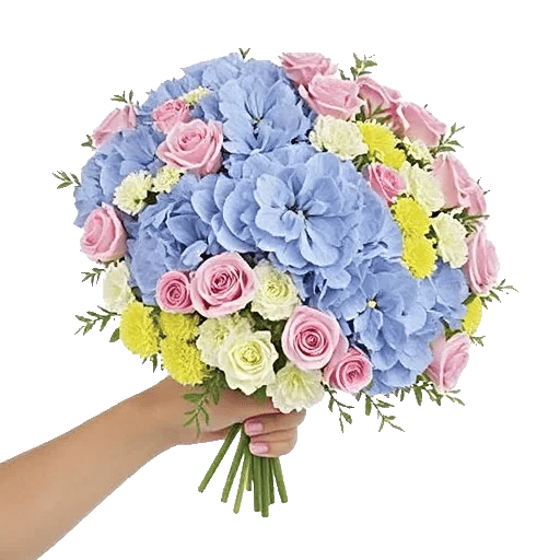 Serene Petal Harmony