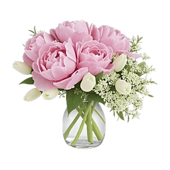 Petal Radiance Bliss