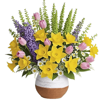 Crisp Spring Blooms